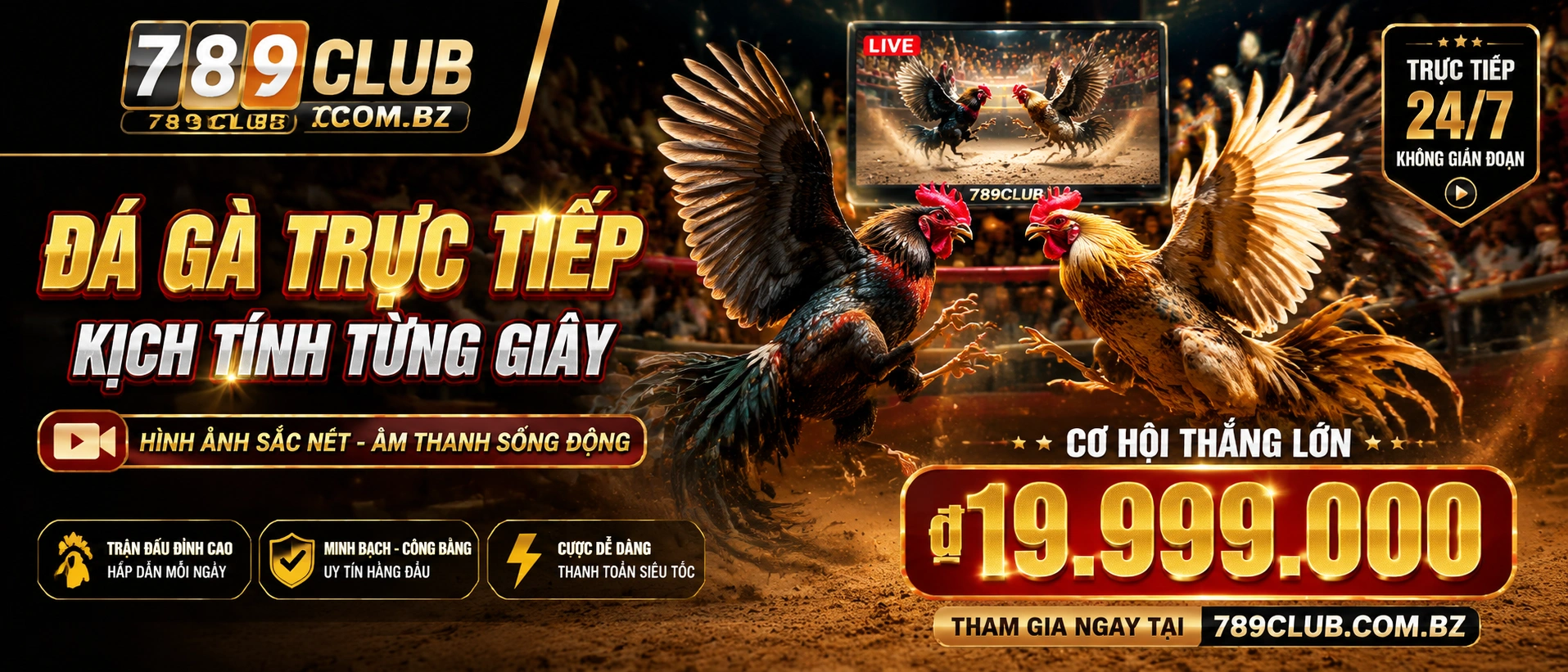 Featured cockfighting interface
