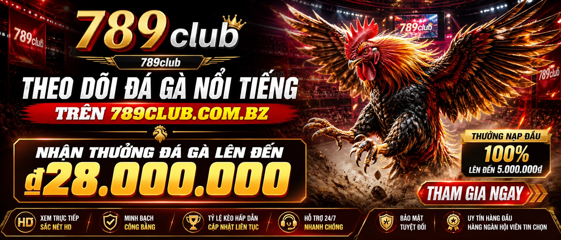 Live match interface